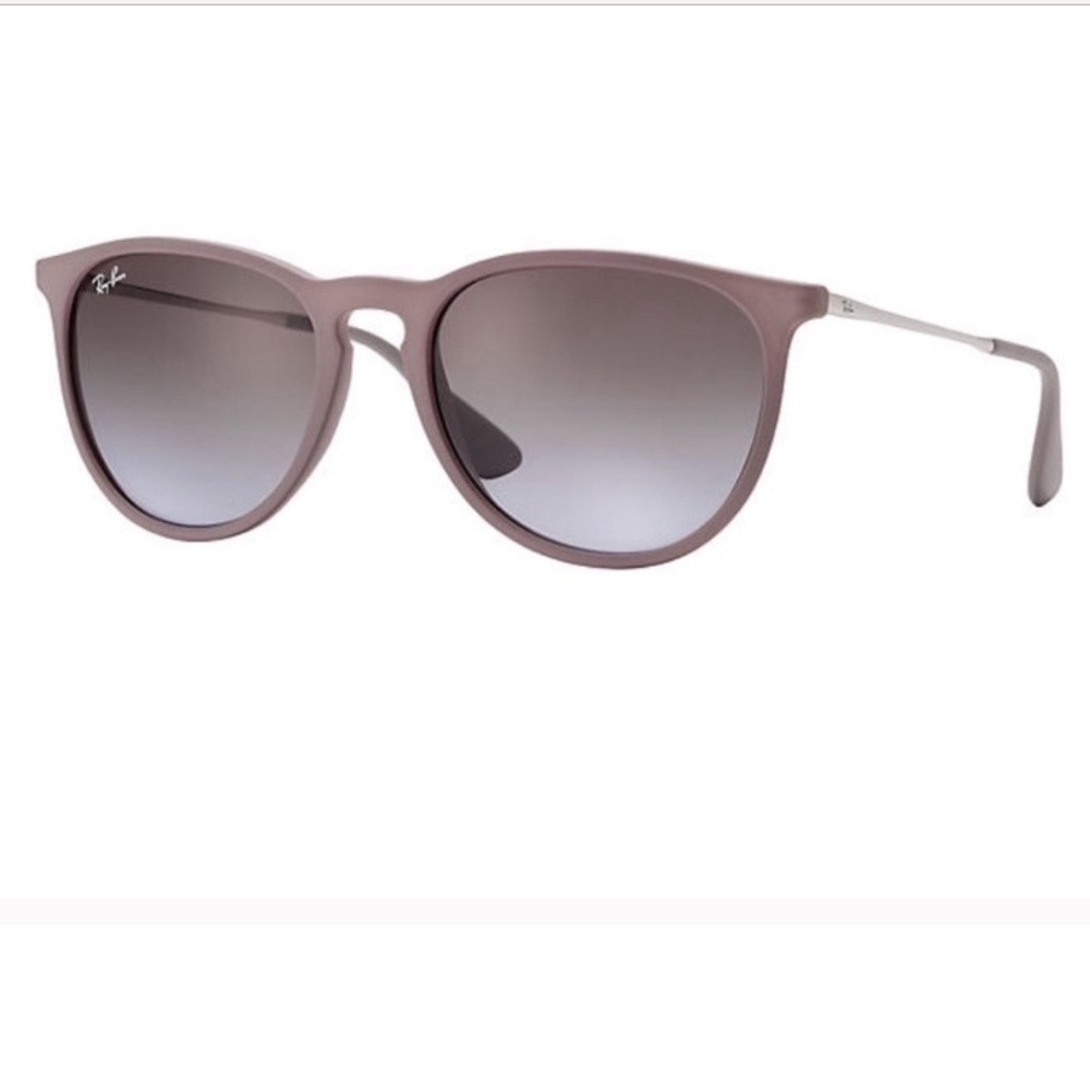 Ray-Ban Erika Sunglasses